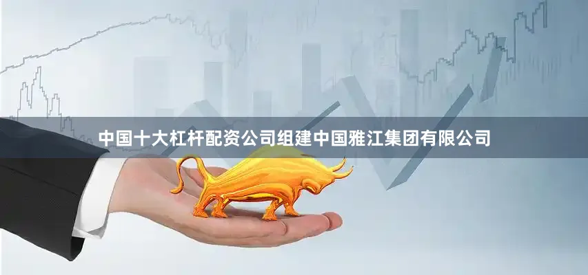 中国十大杠杆配资公司组建中国雅江集团有限公司
