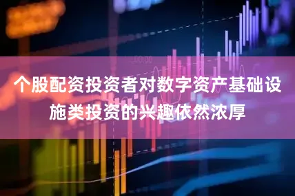 个股配资投资者对数字资产基础设施类投资的兴趣依然浓厚